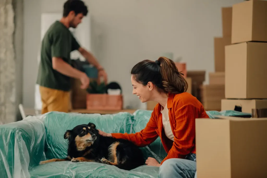 Frau streichelt Hund auf verpacktem Sofa während des Umzugs mit Haustieren
